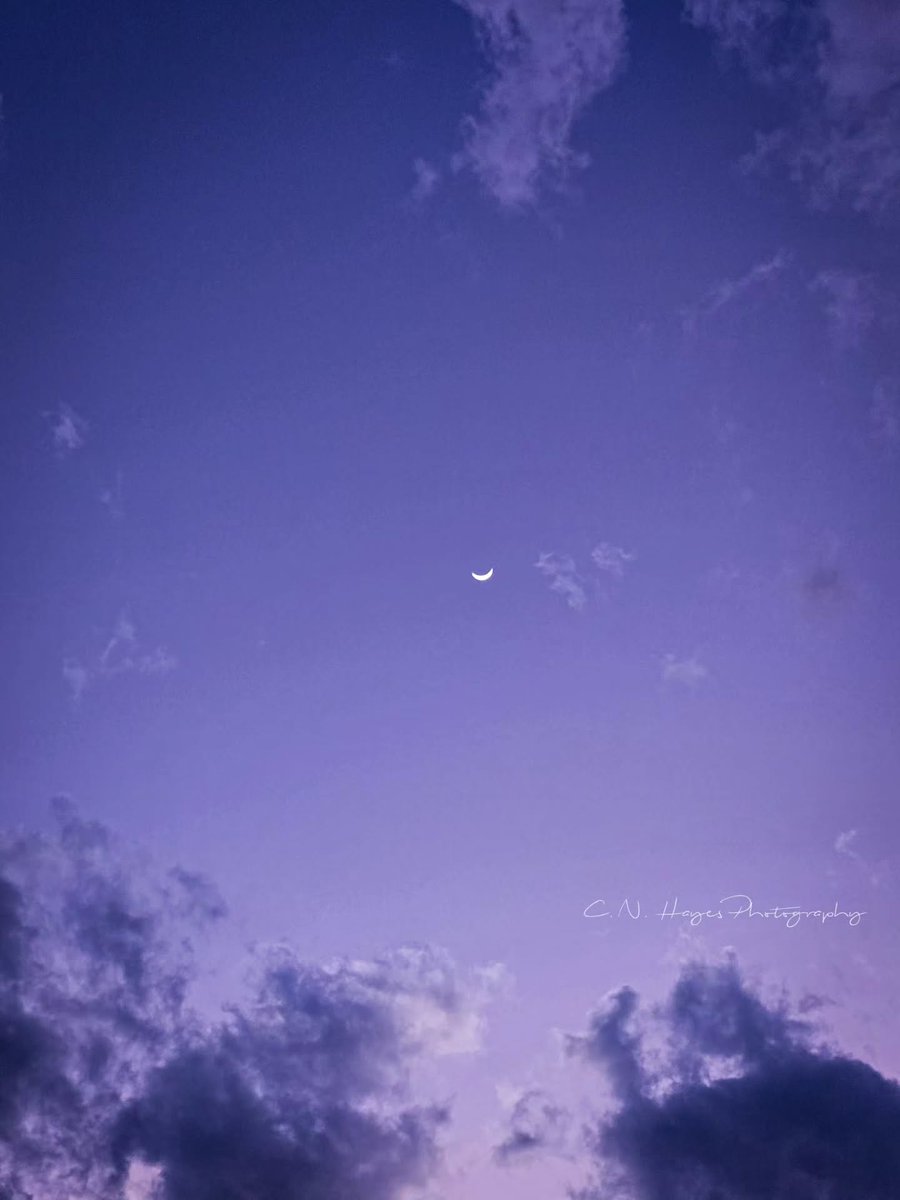 paisleywright3b's tweet photo. Violet Hour https://t.co/Ocd7YMECIk