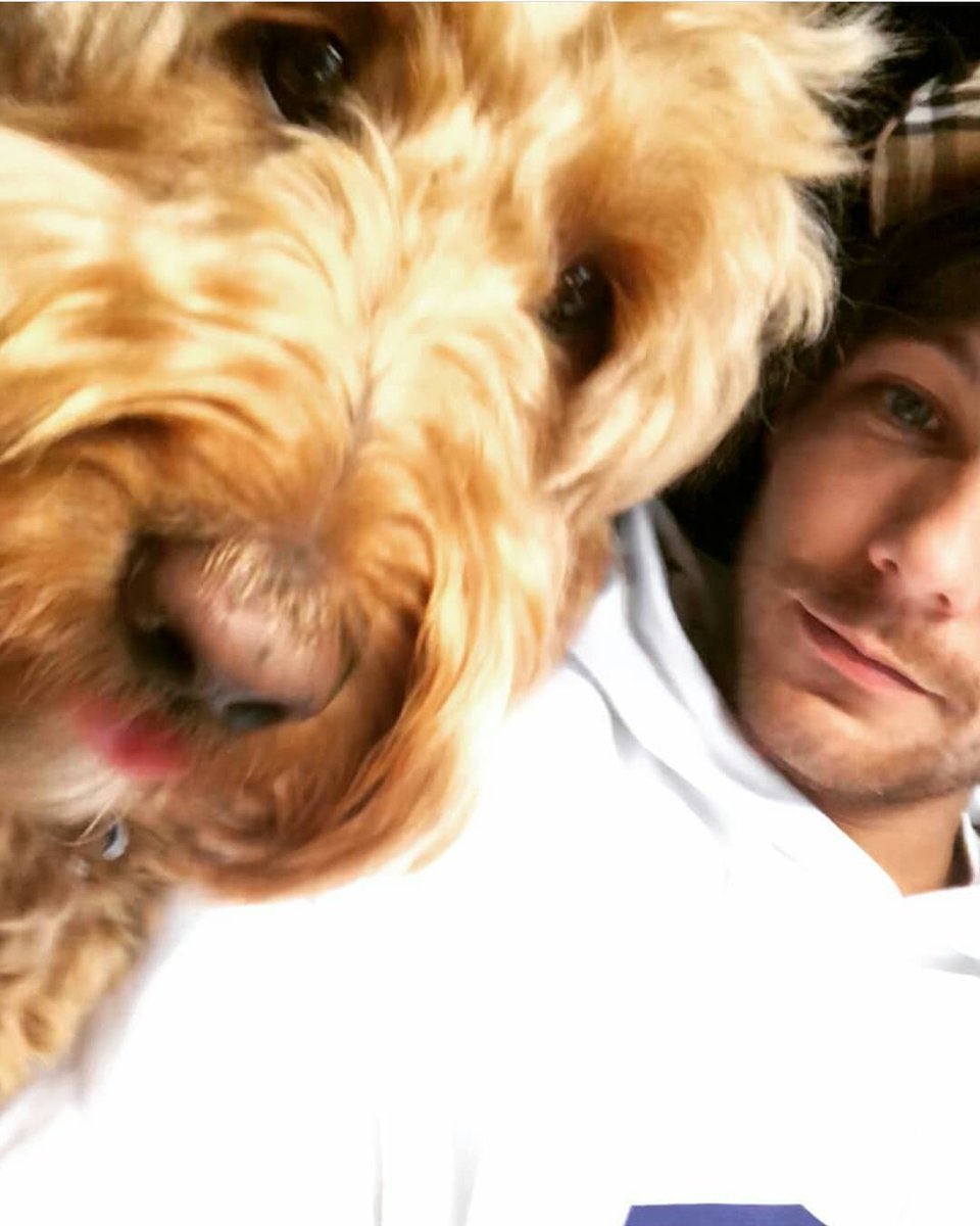 zquadrry28x's tweet photo. absolutely heartbreaking to see that bruce has passed away, 2 months ago. sending so much love and hugs to eleanor, louis and everyone who knew bruce. rip to this sweet little boy ❤️‍🩹 https://t.co/xJq9ynuLib