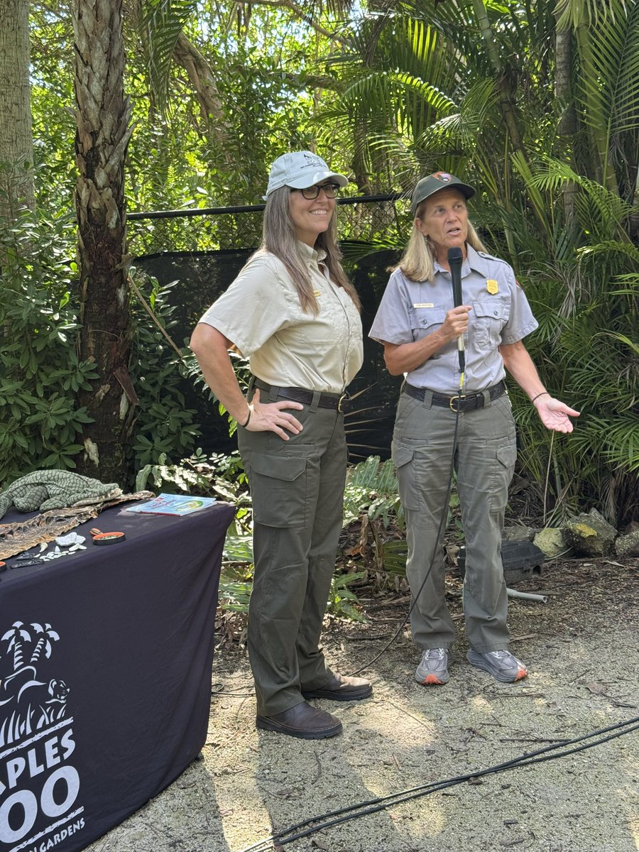 CollierScience's tweet photo. Ranger Lisa and Ranger Michelle from @BigCypressNPS teaching our Kindergartners about alligators during ZooCon. We love our community partners that help us learn about our keystone species. @NaplesZoo https://t.co/omAsKwyBT6