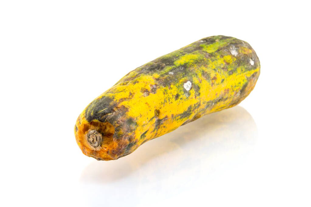 ElNutriDice's tweet photo. Hoy termina la Semana de concientización sobre las enfermedades causadas por hongos y no podía dejar de recordarles que quitarle el pedazo con hongo a la fruta y luego consumir el resto es un riesgo para la salud.

Las micotoxinas del hongo ya invadieron toda la fruta. Déjala ir. https://t.co/CV6TdTqPTo