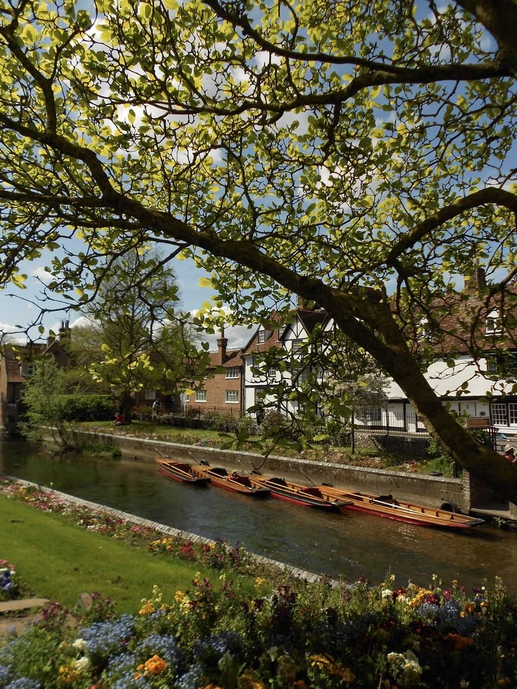 onllycutestuff's tweet photo. Canterbury, England https://t.co/dL18pSqC6P