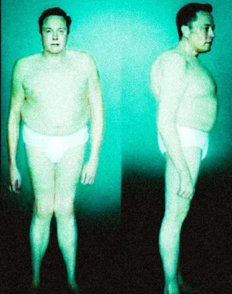 willowissootuff's tweet photo. Wearing tight clothing makes me look like this https://t.co/DeMg6ZkJ81