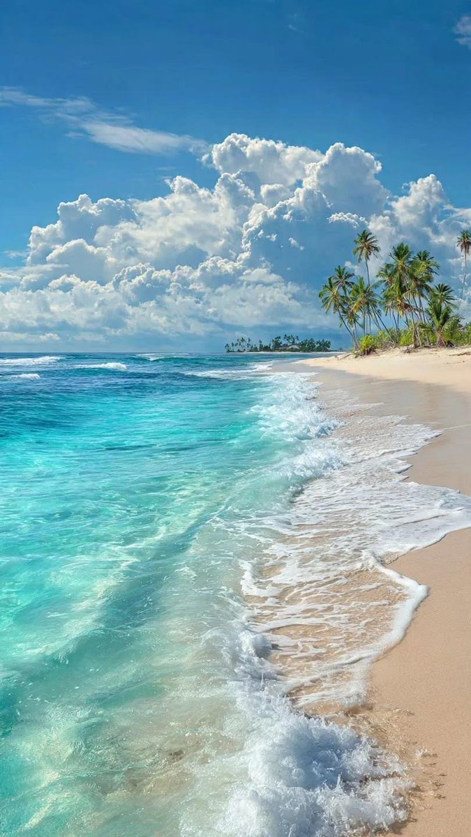 earthserenityy's tweet photo. Maldives https://t.co/AokINx4hCh