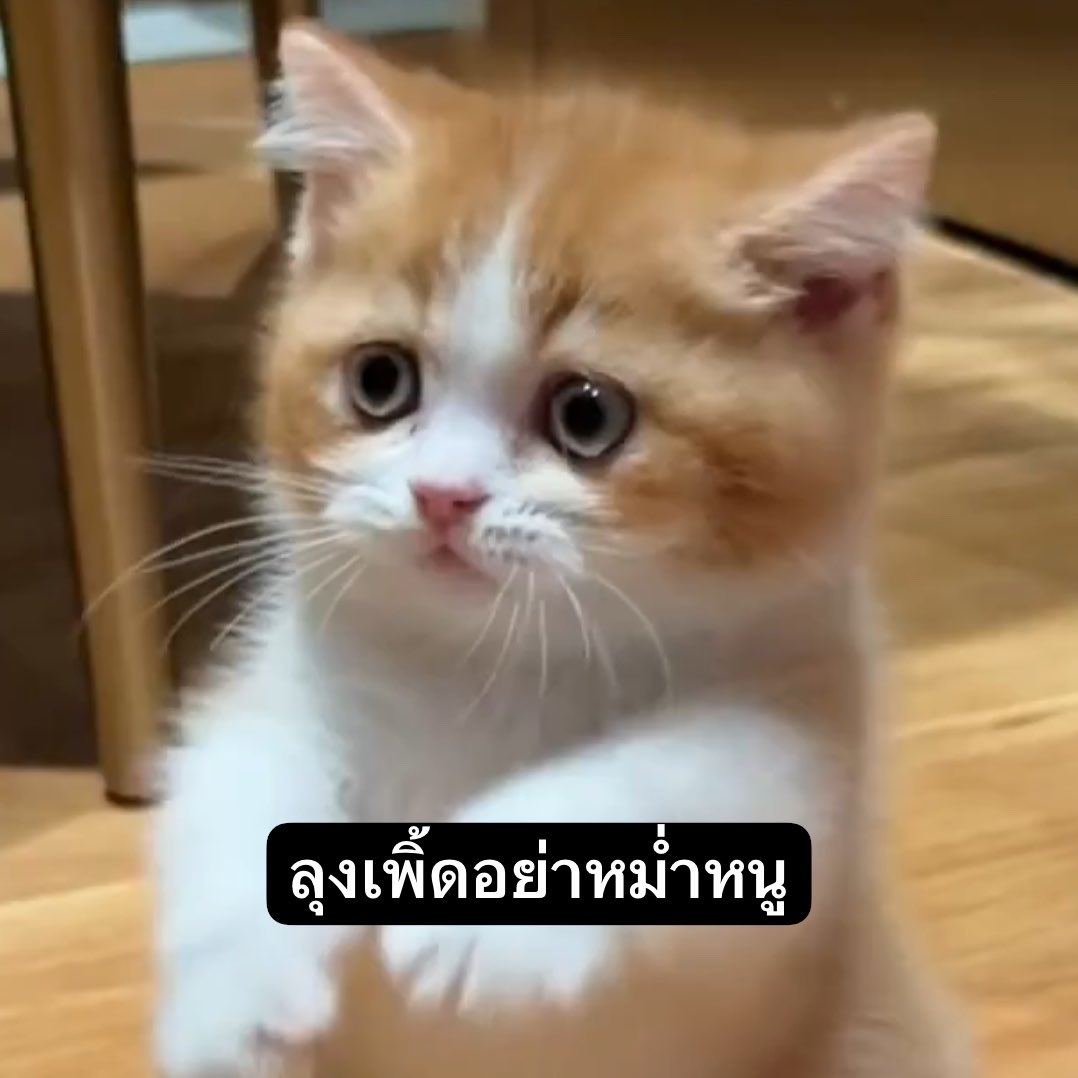 TrendforPS_TH's tweet photo. อย่าว่าเป็นเล่น พี่แกหม่ำๆจริง 🤣🤣🤣🤣

#PerthSanta #เพิร์ธแซนต้า https://t.co/XDf74AtAgX