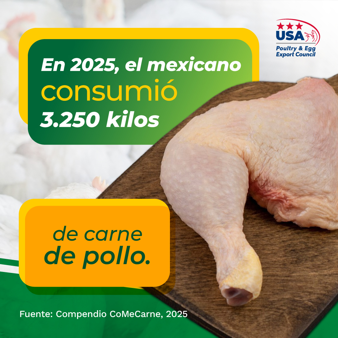 USAPEECMX's tweet photo. En 2025, el mexicano consumió 3.250 kilos de carne de pollo.
#Pollo #Noticias #Mexico https://t.co/cDwv3DlLLV