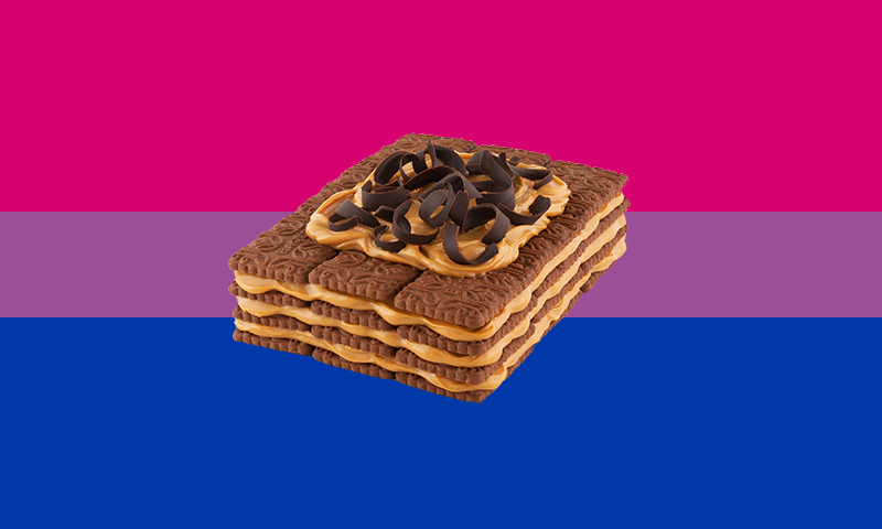 mat_merino's tweet photo. flag for bisexuals who love chocotorta https://t.co/SlEDcLA07a