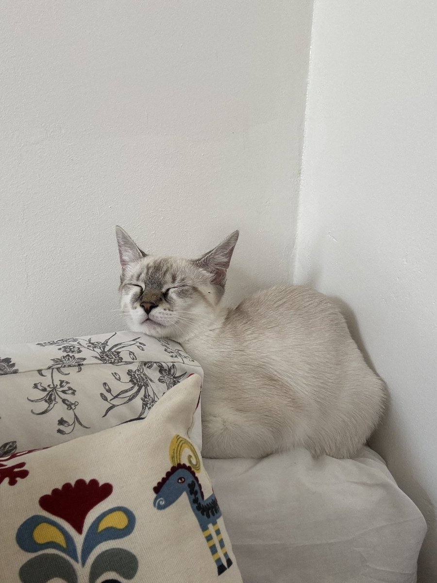 merlinternet's tweet photo. @rijulefilou pleins de câlin maman riju https://t.co/E12mcrUbMW