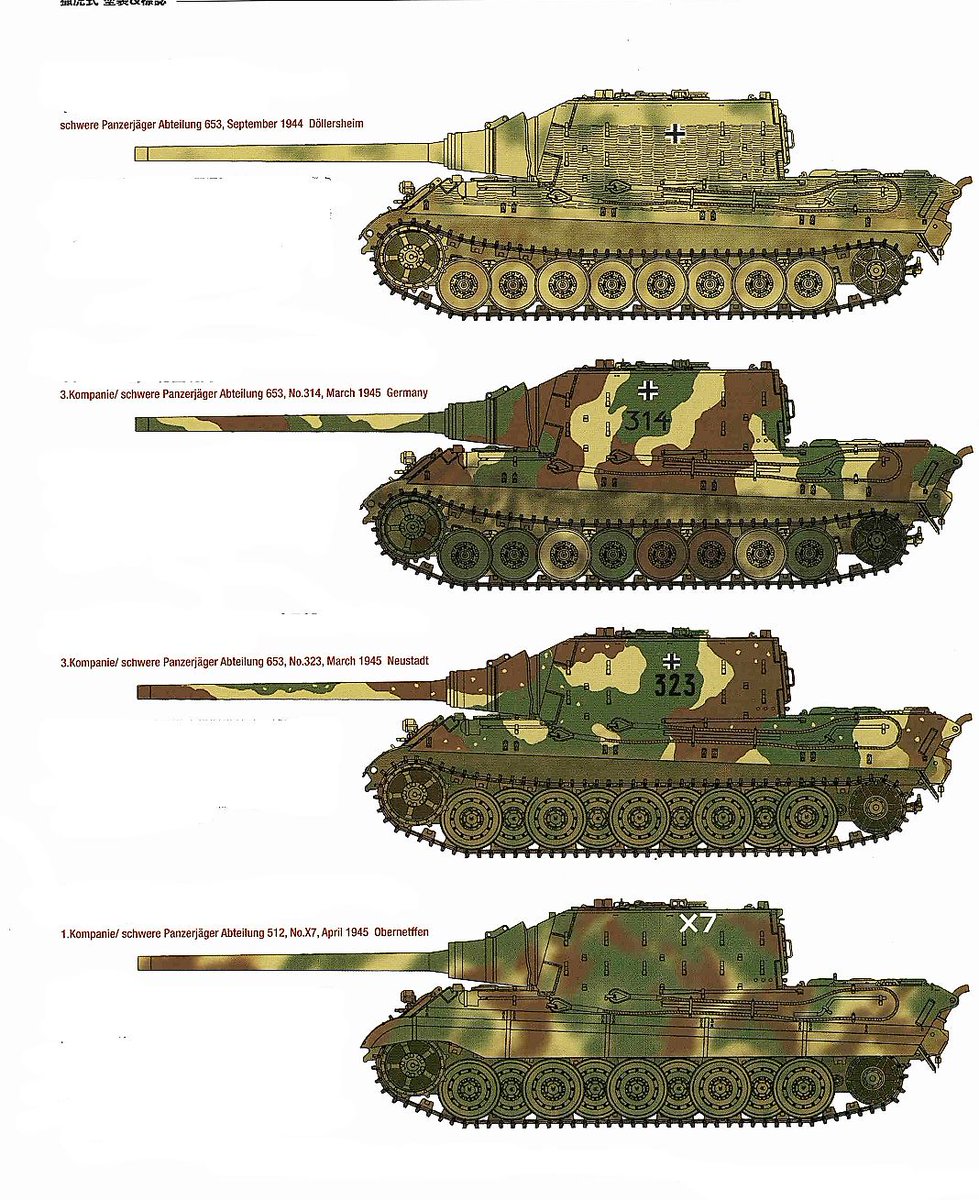DulceBellum1944 tweet picture