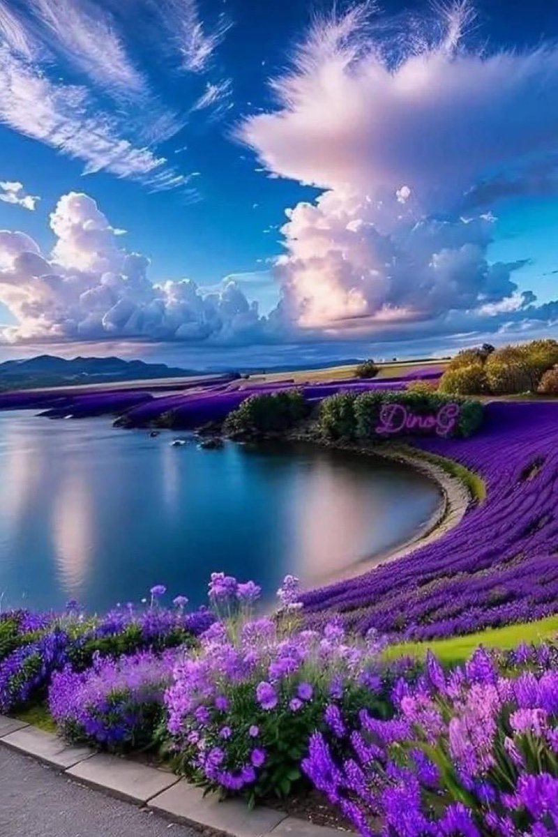 ShAli38's tweet photo. #PAK_PG
18/9
@zar288 @frq05 @S111_7
@Azk75_ @frq_5 @B_0SS1
@majavd2
@Sprxzy2
@BSU_21
@3zaara
@otaic4
@frq_02
@1i3_ua
@1i2_ua
@1i2Ua
@1i3Ua
@1SJ01
@1SJ_2
@fhi4S
@f_0sb
@frq_3
@5fozi
@imrnv
@Btrf_9
@siiyall
@1_2BA
@_Rak_S
@imra0b
@shZ447
@EKohee1
@ShAli38 @frq06
@shzz900 @8ambr
22 https://t.co/Q4wFtDUAZj