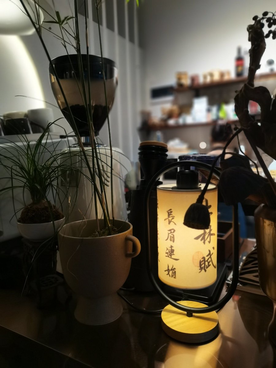 citrb156883's tweet photo. Just brewed a warm cup of oat latte while watching the rain tap against the window—small, perfect cozy evening at home. https://t.co/lTmH34LvT9