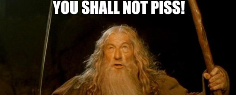 Rob44315431's tweet photo. @JoosyJew Me to my incontinent dog every night. https://t.co/KduCAE6KuE