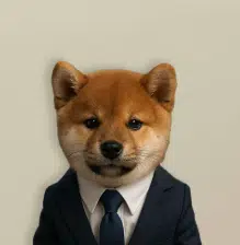 MerkinTheOnes1's tweet photo. Taking a look at every runner right now

Habibiinu
Oilinu
Allinu
Artificial Inu
Coinu
Uni
Linkedinu

it is clear we are in INU Capital markets https://t.co/ucEgO7OQjb