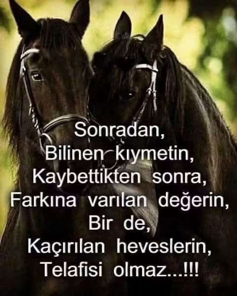 632_busra's tweet photo. @MR107114532023 @nursen0104 @1Yed_iBeyza @Nursemawe @davamislamm_571 @Davamislam_571 @tulinn_koru Teşekkür ederim 
Herkese hayırlı akşamlar diliyorum https://t.co/J2rKdyrEgT