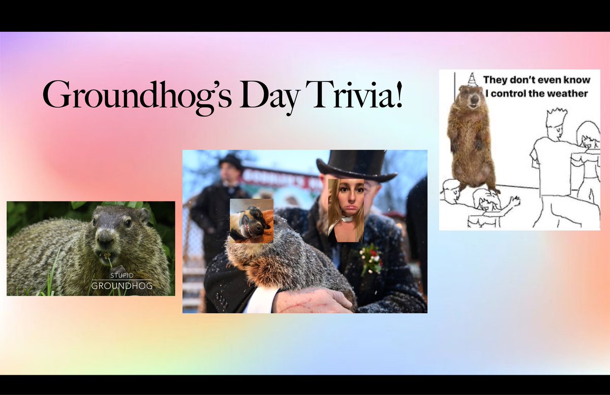 kellysuxxx's tweet photo. Amateur hour! Birthday trivia started out as Groundhog Day trivia then PRANK it’s second annual Kelly trivia https://t.co/dDEBAerOva