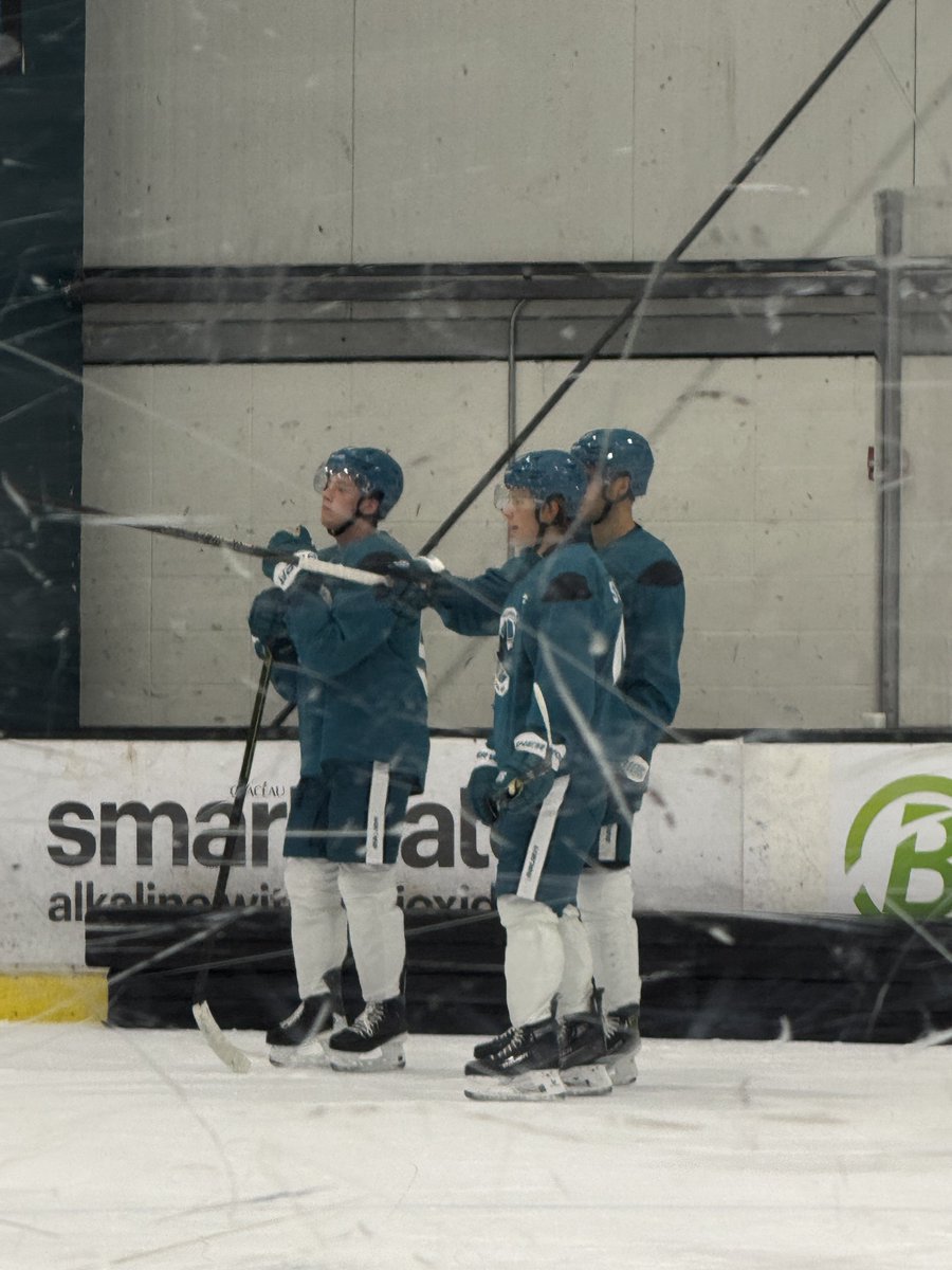 ostapucks's tweet photo. collin graf swedish https://t.co/U762cnMErk