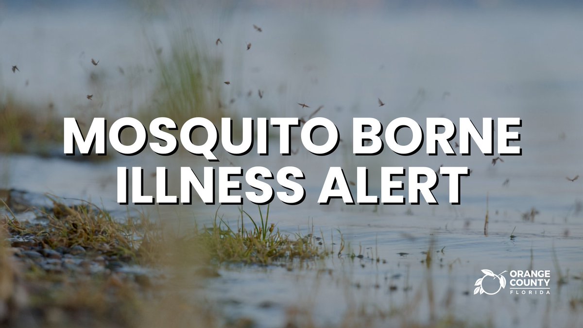 OrangeCoFL's tweet photo. Orange County is under a Mosquito-borne Illness Alert for Dengue Fever after @HealthyFla in Orange County confirmed three locally acquired cases. Visit our Mosquito Control website for more information: https://t.co/z6UoTj9E4t https://t.co/KaHehsllhw