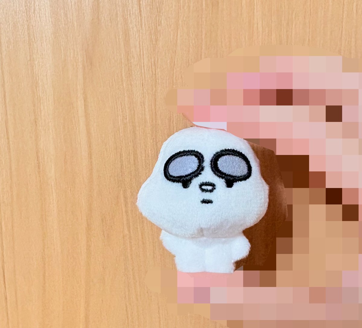 mo___pe___'s tweet photo. 柔太朗の概念、親知らず抜きたてみたいな子が来た　どんぐりくらいのサイズ感でかわいい https://t.co/wmwY5N7cnp
