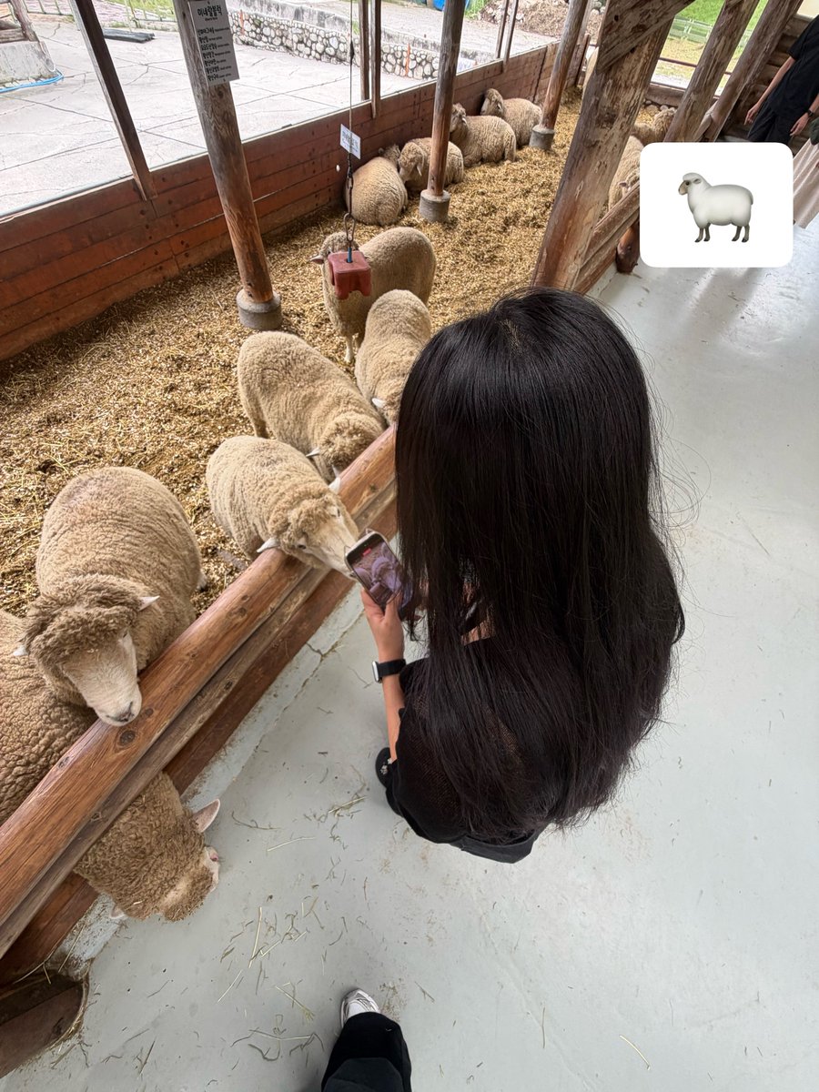 O42O3O's tweet photo. 양 하트 주주 https://t.co/qEyrikqDHK