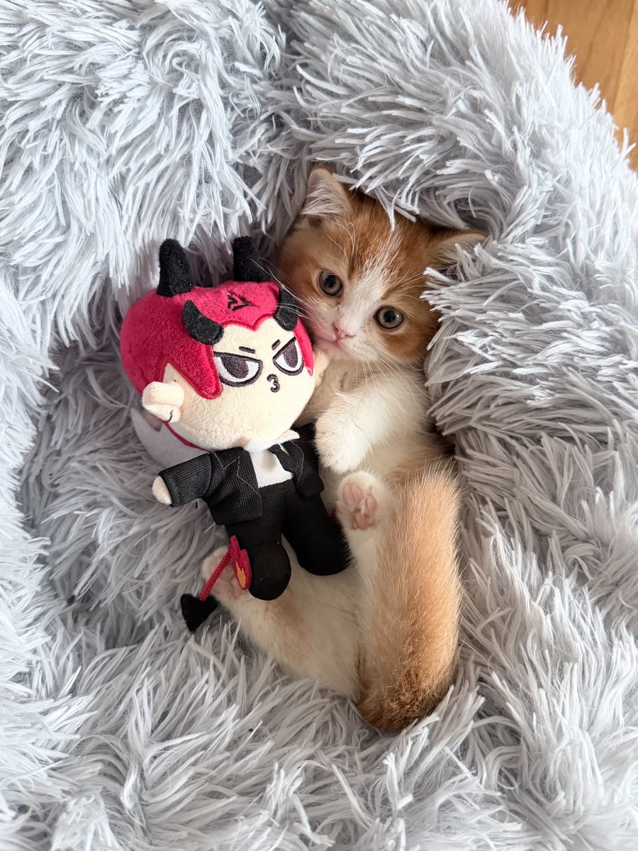 leeyachannie's tweet photo. FELIX WITH MIIANGGGG!!! 😭😭 https://t.co/s4LbYB2ZmW