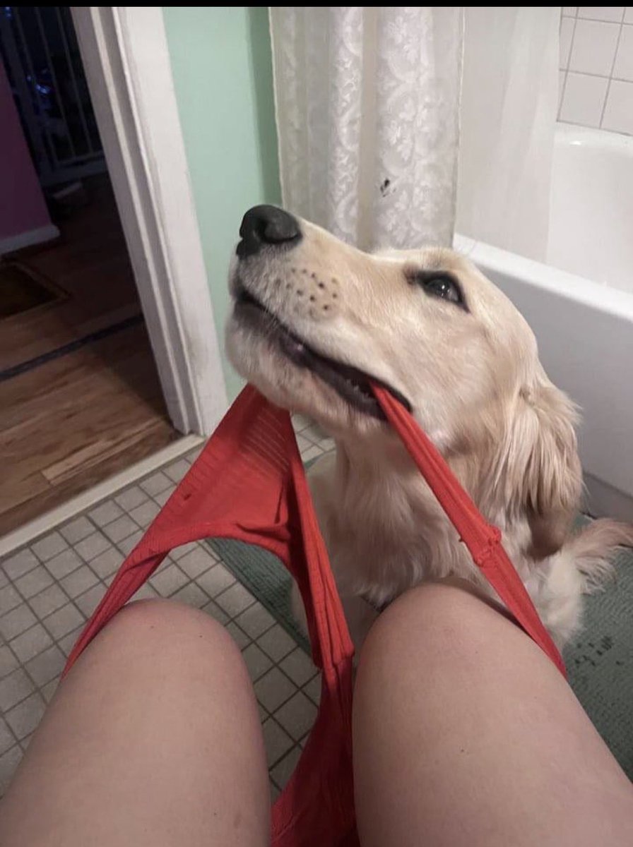 DognottinSusan's tweet photo. Close and cute.
Private is me getting fucked by my doggo until the knot swells, locks, and leaves me completely full.
Link here https://t.co/r48SJIDU8S

💬☝️☝️☝️☝️☝️
#dogs #K9 #USA
#bestiality #zooporn #dogknotting #zoophillia #dogsex https://t.co/RVf5kBrnle
