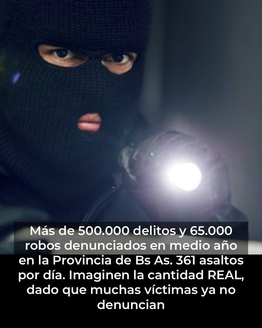 mavica7's tweet photo. Más de 500.000 delitos y 65.000 robos denunciados en medio año en la Provincia de Bs As. 361 asaltos por día. Imaginen la cantidad REAL, dado que muchas víctimas ya no denuncian✌️✌️✌️✌️✌️✌️✌️ https://t.co/cjcj5OWzg7