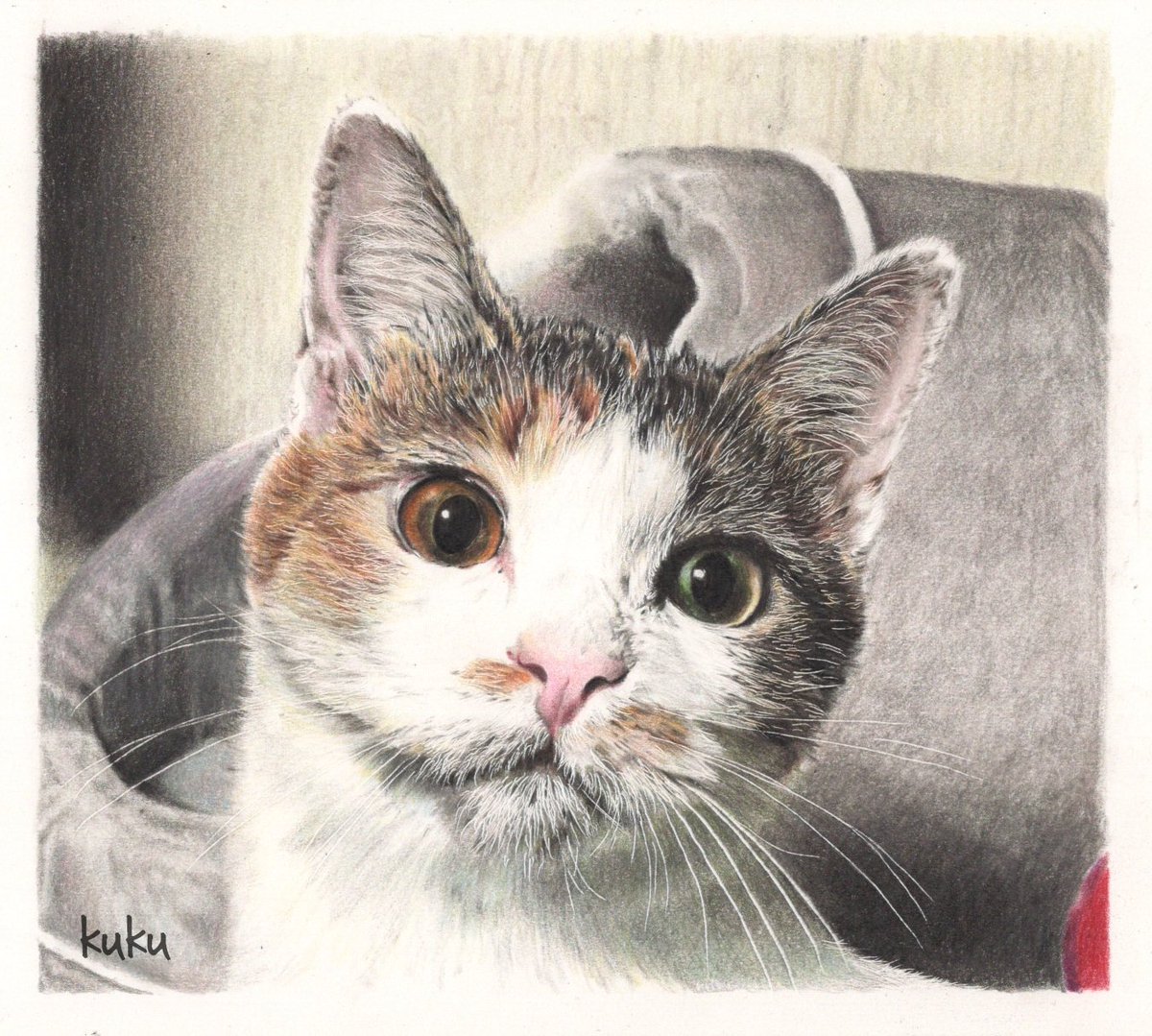 kukubloom's tweet photo. ネコちゃんを描くのは大変だけど、好き✨

#全クリエイターに告ぐ猫の作品を解放せよ

 #色鉛筆画  #トンボ鉛筆
 #青ちゃん  #セルジオ悦子 ちゃん
 #早ちゃん退ちゃん
 #ユキちゃん https://t.co/RreCvVyG4l