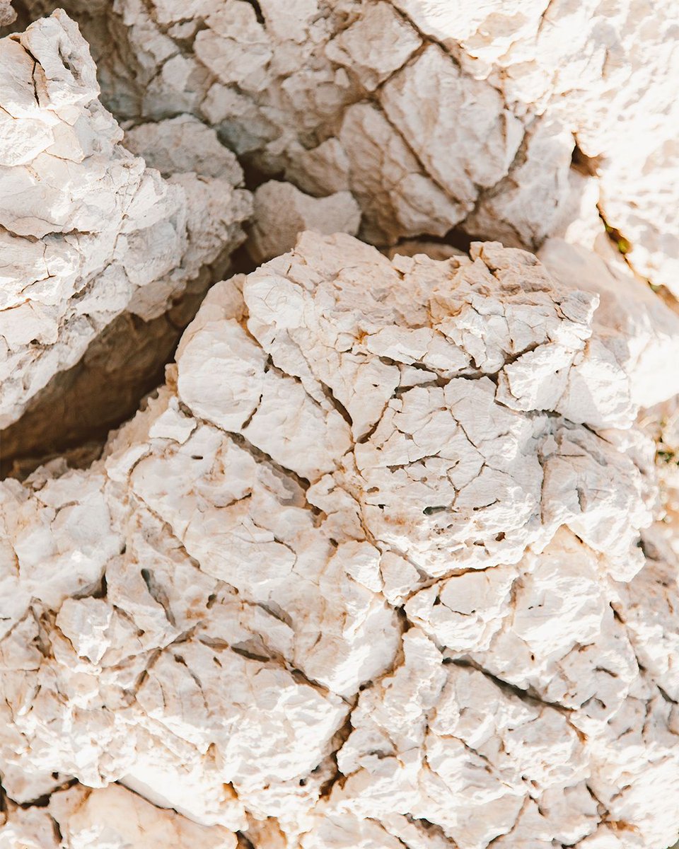 thinkpackage's tweet photo. Finding inspiration in nature's textures and tones.
.
.
#naturetexture #organicforms #earthytone #visualmood #designprocess https://t.co/l95dmAmmLK