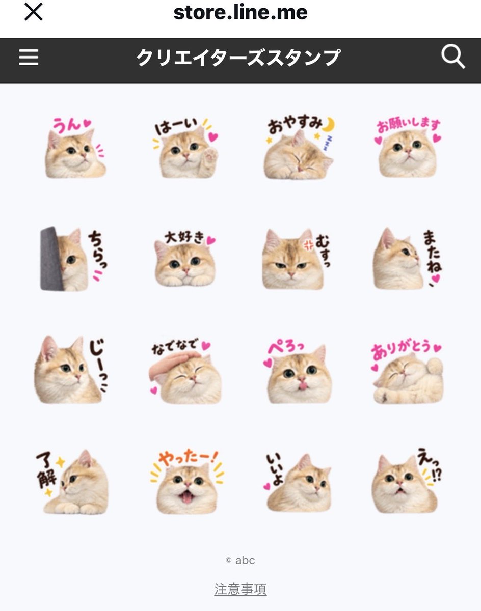 abcmiii11's tweet photo. マロンのLINEスタンプ作ってみました☺️

https://t.co/ucW49dvVVm https://t.co/9zXNc5BcFa