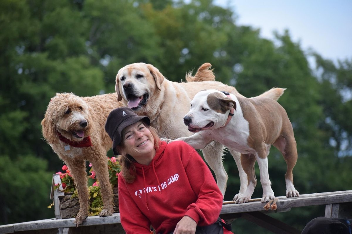 laylaclarkypesh's tweet photo. As another incredible season at Eva’s Dog Camp comes to an end, we want to thank the amazing team who makes it all possible. From drivers and managers to kennel techs, maintenance crews, and dog handlers, your dedication, patience, and love create https://t.co/UjUgqI9gmd