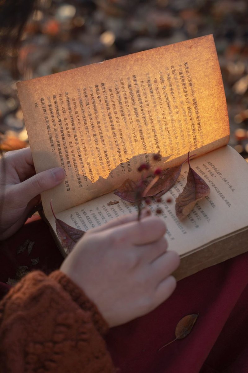 StanleyMcl4r's tweet photo. Just finished a stunning novel about self-discovery—took me on such a heartfelt journey!  #BookLovers https://t.co/r2vkzlnYDp
