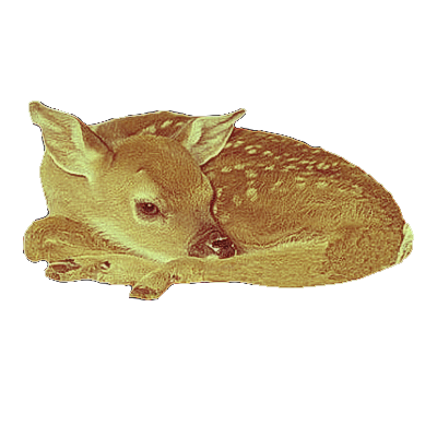 F0RESTSURVIVOR's tweet photo. ⠀ ⠀ ⠀ ⠀ ⠀  ⠀( ᨒ↟ ⋆｡° )
⠀ ⠀ ⠀ ⠀
⠀ ⠀ ⠀    𝐖𝐇𝐀𝐓’𝐒     𝐖𝐑𝐎𝐍𝐆      
  ⠀  𝐖𝐈𝐓𝐇     𝐓𝐇𝐈𝐒      𝐏𝐈𝐂𝐓𝐔𝐑𝐄  .  .  .ᐣ

⠀ ⠀ ⠀ https://t.co/QIJhVVHR5n