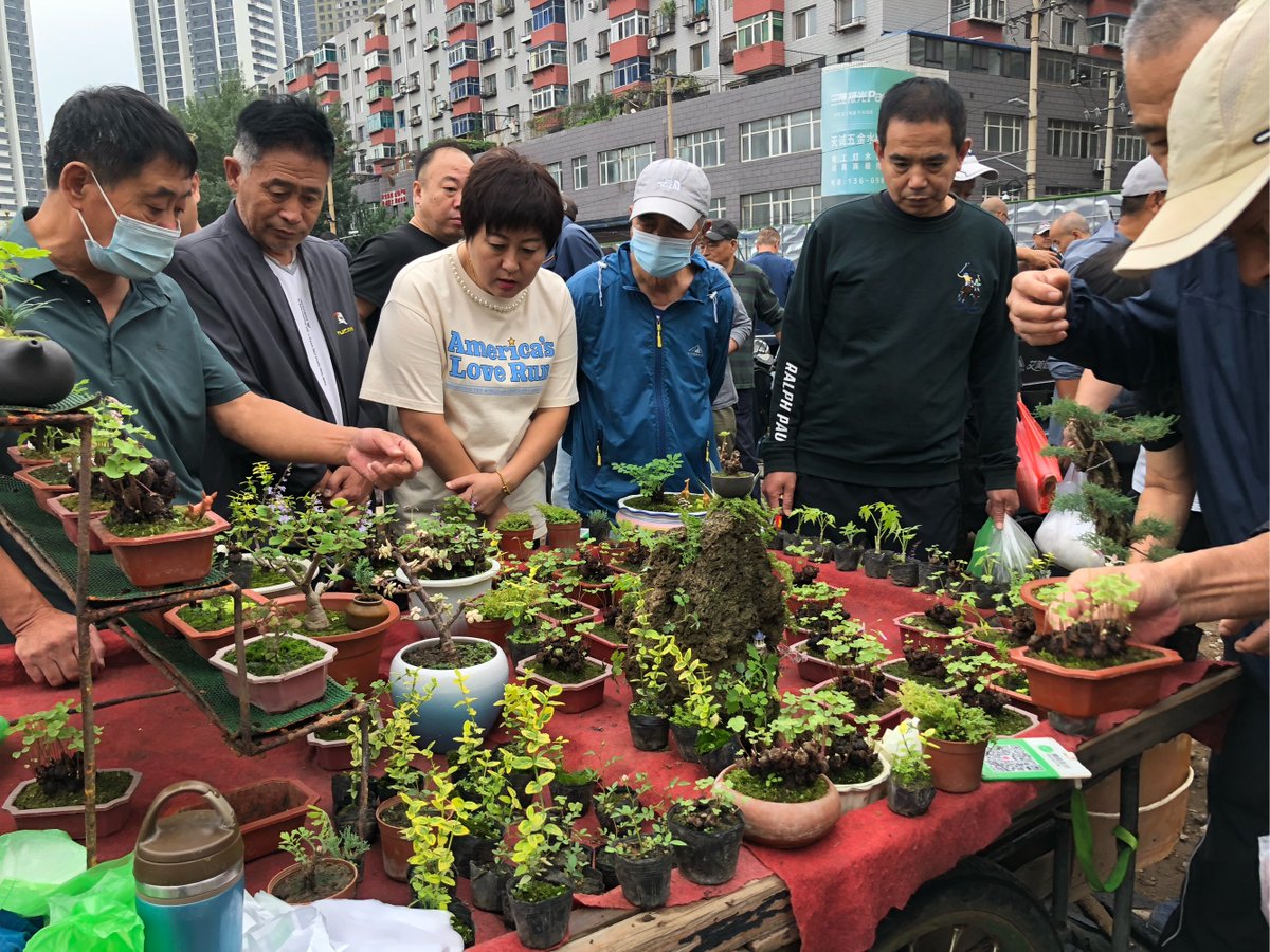 QuinnRodriryiz's tweet photo. Hola vecinos! Maana haremos un pequeo intercambio de plantas en el portal 3, trae las que quieras compartir, te esperamos a las 16h! https://t.co/ML7sqziRFi