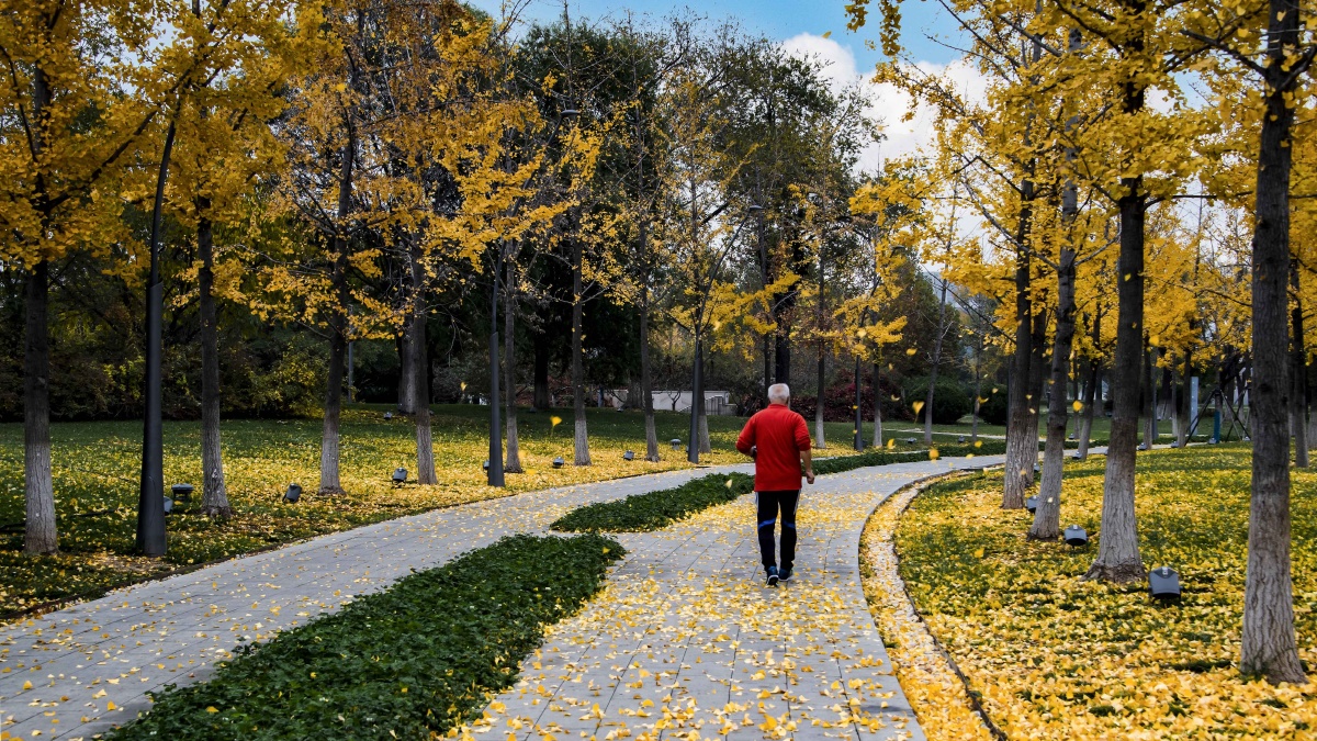 ariad345173's tweet photo. Crisp autumn breeze + golden leaves = perfect Saturday morning!  Time for a warm latte and a walk through the park. #FallVibes https://t.co/llG5E8XNrV