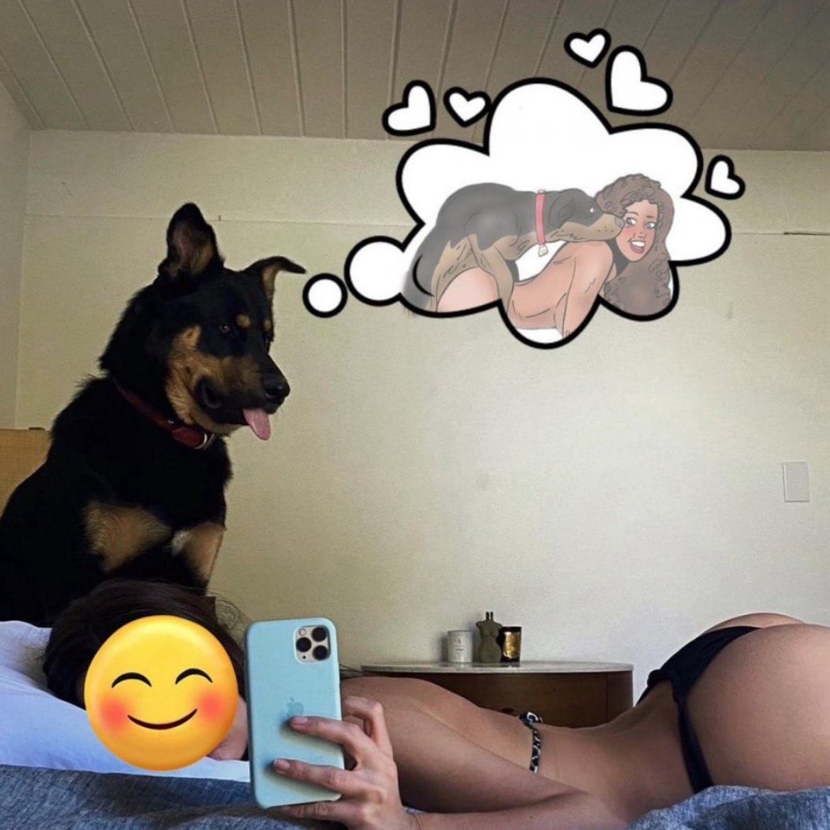 Smithmewy's tweet photo. I love seeing dogs 🐕 around me 😻😍
https://t.co/Ia5nap4lBP https://t.co/BzpCHFiAKQ