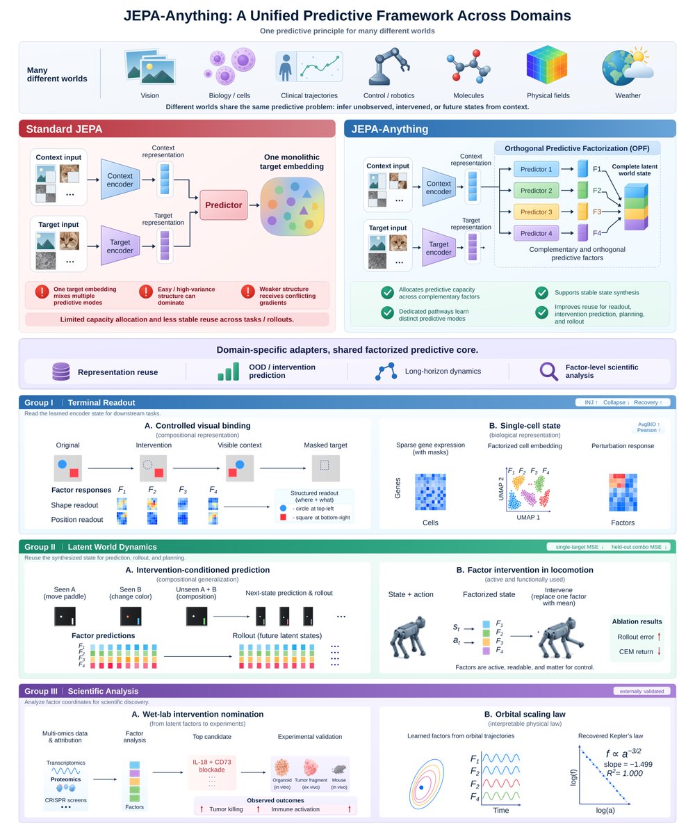 PhAILabs's tweet photo. The fix is OPF (Orthogonal Predictive Factorization): K complementary subspaces, each predicted through its own pathway, then synthesized into a complete latent state for rollout, planning, and intervention.

Simply adding prediction heads did not produce the same structure in our capacity-matched CITRIS audit against unconstrained multiheads:
• Cross-factor overlap: 0.4550 → 5.18 × 10⁻¹⁶
• Synthesis condition number: 438.52 → 1.00005
• Transpose-synthesis NMSE with exact factors: 0.7886 → 2.98 × 10⁻¹⁴

One OPF design, with domain-specific adapters and encoders. Compared with standard JEPA, MSE fell on all nine prediction tasks in the matched dynamics benchmark. In a separate APEBench Burgers audit, held-out late-state error fell by 49.5%.

Across four tested molecular systems, JEPA-Anything had the lowest 100-step final-position error among the compared methods. On zero-shot PBMC clustering, AvgBIO rose from 0.7194 with Cell-JEPA to 0.7752.