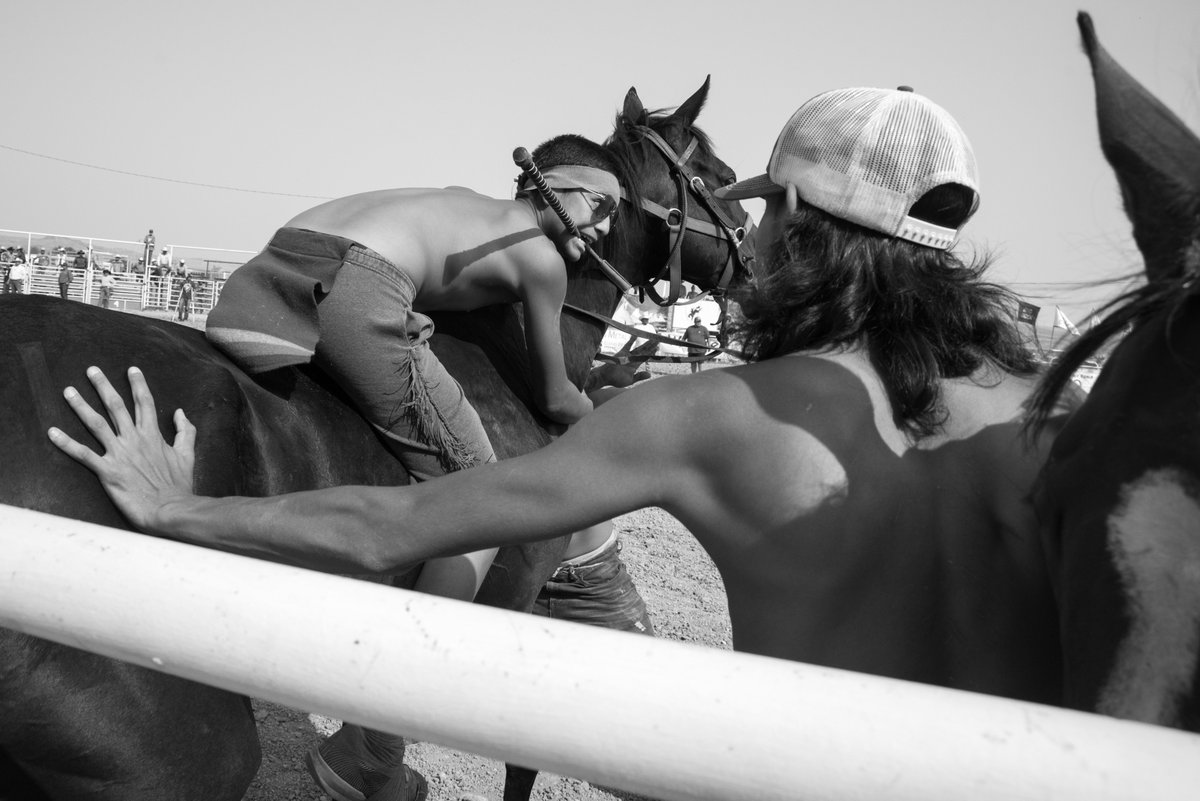 elgallo7's tweet photo. Horse exchange, 2018 Crow Fair & Rodeo, Crow Agency, MT #Fridayphoto https://t.co/G1kj6MzfI2