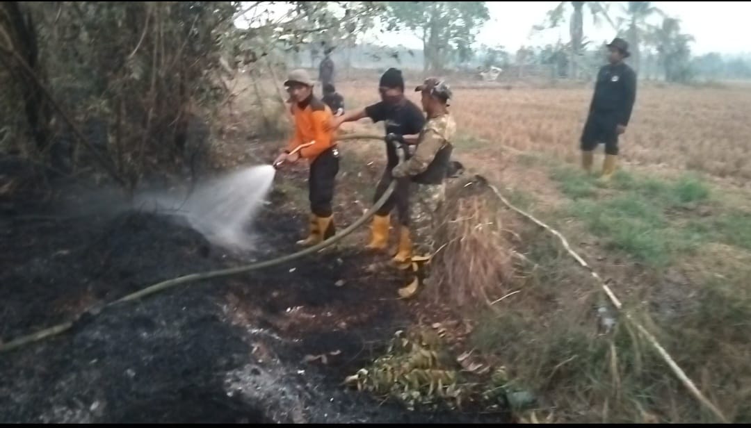 Kodimpaser's tweet photo. Ini Respon Cepat Satgas Karhutla Dalam Menangani Kebakaran Di Sungai Tuak 

Personel Satgas Karhutla Paser tanggapi laporan warga akan terjadinya kebakaran di Desa Sungai Tuak Kecamatan Tanah Grogot. 

#tniad #kodimpaser #tanahgrogot #cegahkarhutla #satgaskarhutla https://t.co/8V2ex8ebWE