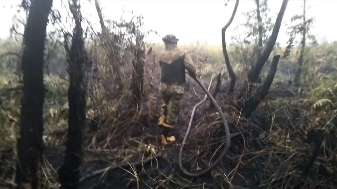 Kodimpaser's tweet photo. Ini Respon Cepat Satgas Karhutla Dalam Menangani Kebakaran Di Sungai Tuak 

Personel Satgas Karhutla Paser tanggapi laporan warga akan terjadinya kebakaran di Desa Sungai Tuak Kecamatan Tanah Grogot. 

#tniad #kodimpaser #tanahgrogot #cegahkarhutla #satgaskarhutla https://t.co/8V2ex8ebWE