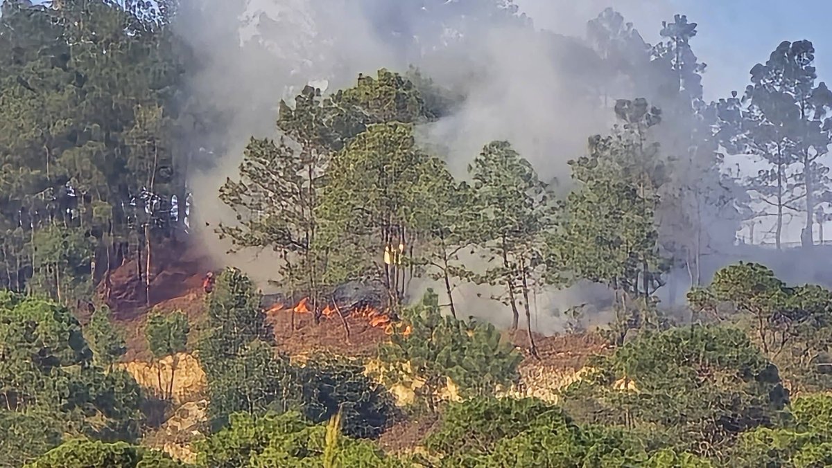 ClimaenGuate's tweet photo. No señores, no son fotos de marzo o abril. En pleno septiembre han existido cantidad de incendios forestales en Jalapa, El Progreso, Baja Verapaz, Quiché y Huehuetenango.

Un desconocido septiembre, donde se reportan hasta 70 días sin lluvias en algunos sectores. 

No recuerdo haber visto antes tantos reportes de incendios en pleno septiembre. Ni en noviembre o diciembre pasaba eso…
