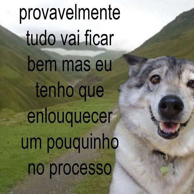 daniel_molivei's tweet photo. não precisa de muito só um pouquinho https://t.co/gse4rqmvFI