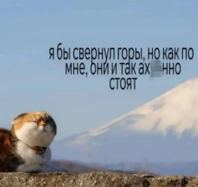 Soullipps's tweet photo. Это не лень, просто жизнь и без суеты норм идёт https://t.co/FpUGH234qH