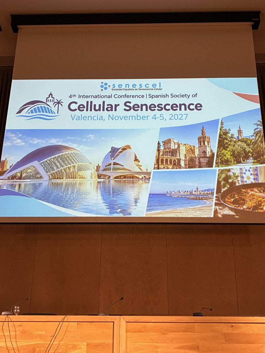 SENESCEL's tweet photo. And the next @senescel meeting will be in…. https://t.co/cYBMPLVQHP