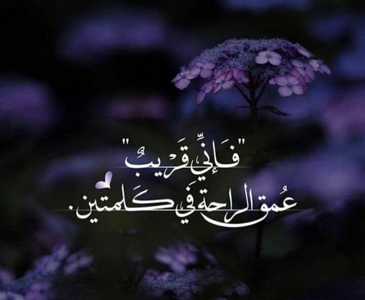 Bdorr_3_'s tweet photo. اللهّم إنا نستودعك حالنا، فأجعله يا الله في خير وعلي خير وإلي خير."🤍 https://t.co/wVVqONRQUx