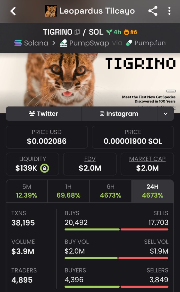 Echelon007's tweet photo. 99X up from my call on $TIGRINO 🖨️

CA:
91ryaCo5yGpYZM3bs6GUPs97VWJQj7RozBmqPULgpump

#ROSÉ #17SEP2026 #Solanamemecoin https://t.co/9cXmR07Cx5