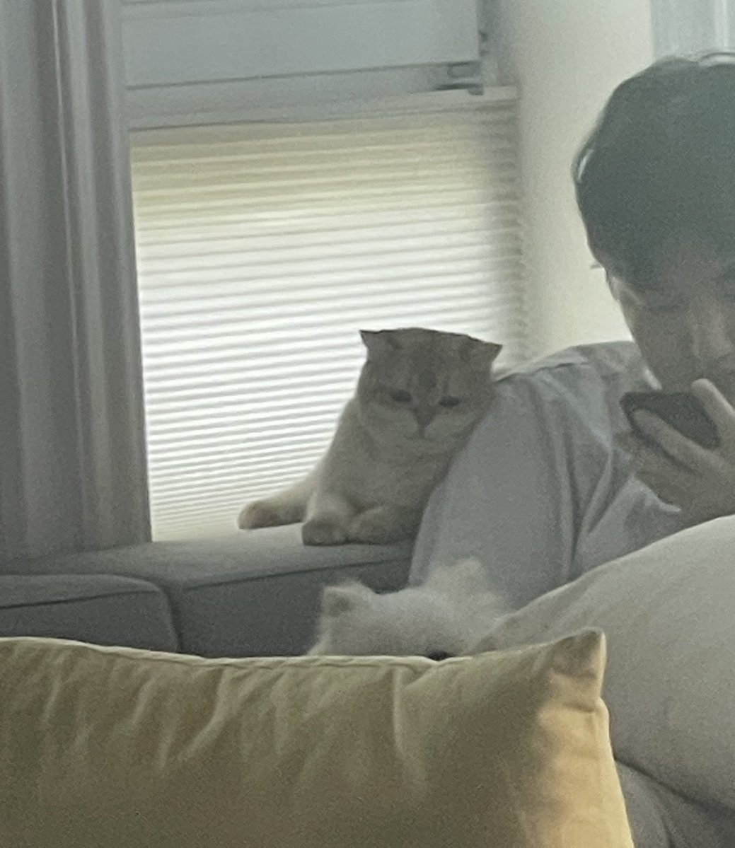 olea119's tweet photo. 유미랑 셀카찍은거 몽땅 빼꼼솬 상태라 보고 활짝웃음 https://t.co/vkRuEN4AAs