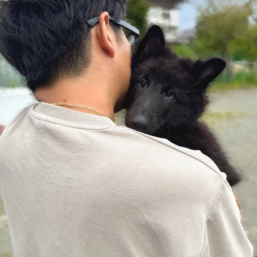 ieniimasu0513's tweet photo. ワクチン前なので抱っこ散歩する赤ちゃん
体重8kg、もう私は抱えていられない･･･
すれ違った小型犬先輩より大きくて、これは躾をきちんとせねばと改めて心に誓った https://t.co/rBPrgu6YZu