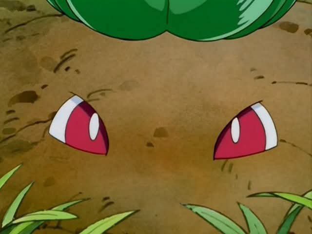 acervbulbasaur's tweet photo. abobra. https://t.co/vgERyahYUW