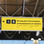 Photo by Дуршлаг и Макарошки (@elaith)