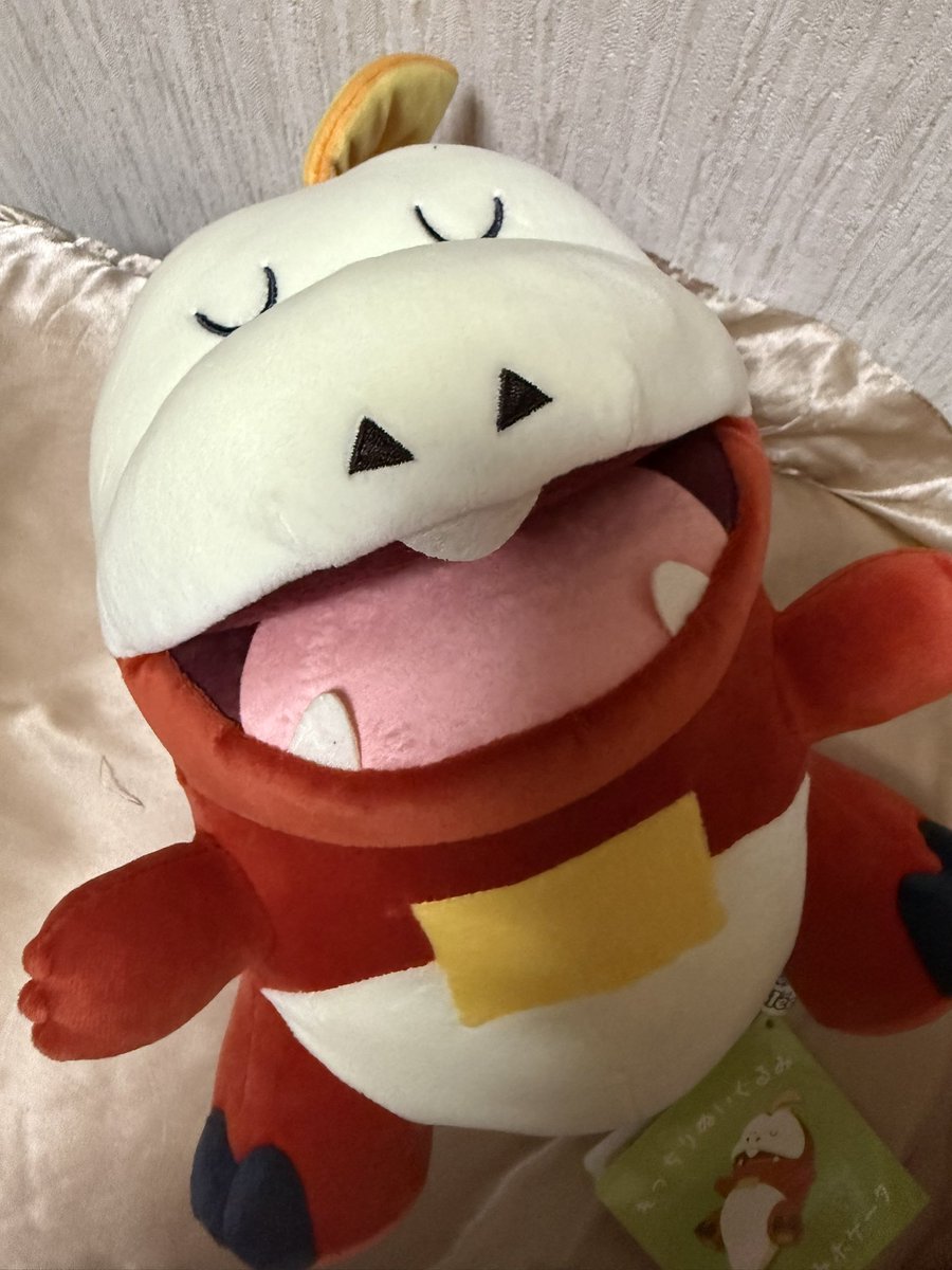 chiroll_choko's tweet photo. 今日ポケセンでお迎えした子！！
店頭に無かったのに倉庫から出してきてくれた店員さん本当にありがとう😭😭😭
#ホゲータ https://t.co/tFkzFPRnPn