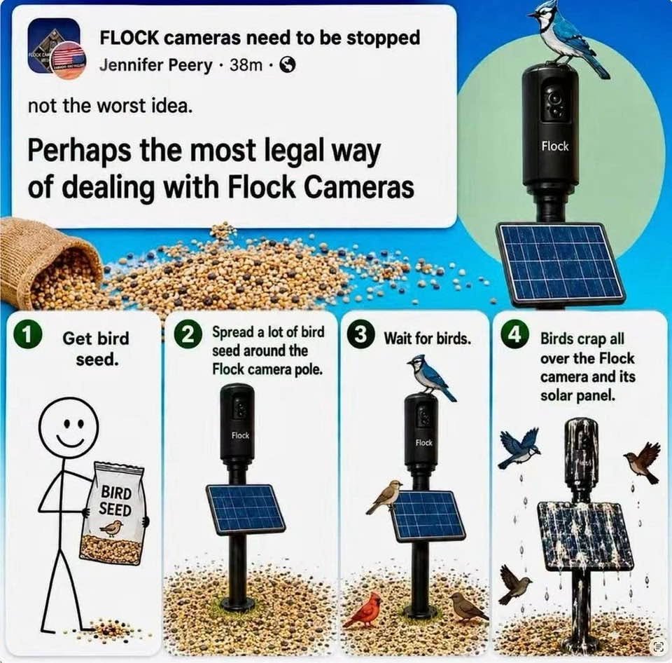 Gretchen5689's tweet photo. Not suggesting doing this, just wondering, out loud, whether it might work.  🧐 https://t.co/n8wCax9ZDF